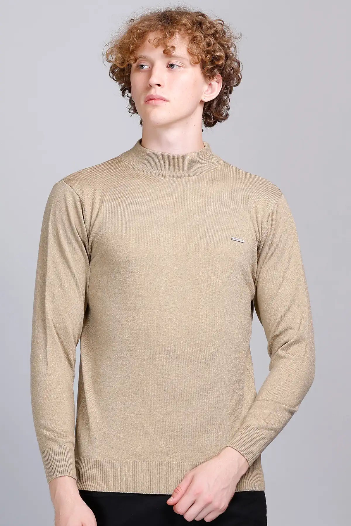 Beige Solid Turtle Neck Woollen Pullover