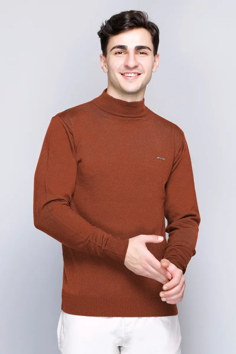 Rust Solid Turtle Neck Woollen Pullover