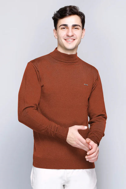 Rust Solid Turtle Neck Woollen Pullover