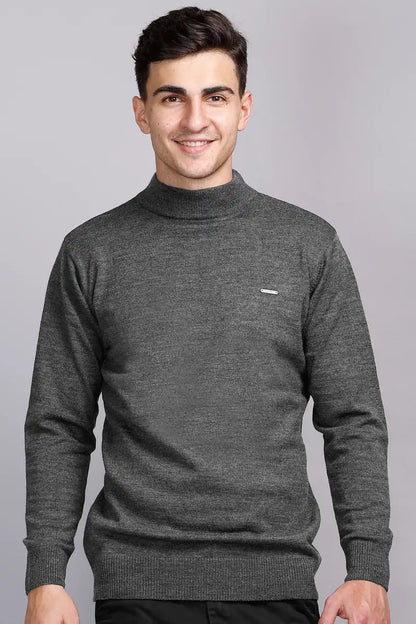 Medium Grey Solid Turtle Neck Sweater