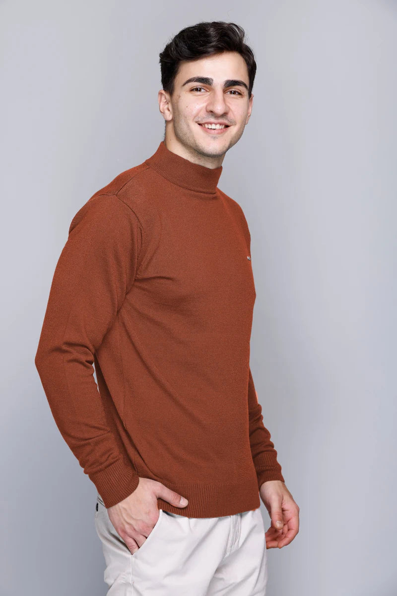 Rust Solid Turtle Neck Woollen Pullover