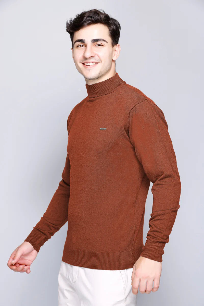 Rust Solid Turtle Neck Woollen Pullover