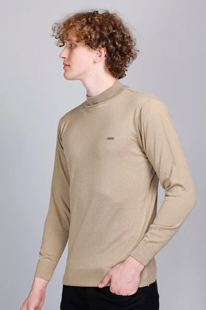 Beige Solid Turtle Neck Woollen Pullover