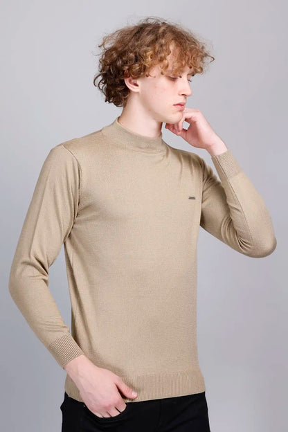Beige Solid Turtle Neck Woollen Pullover