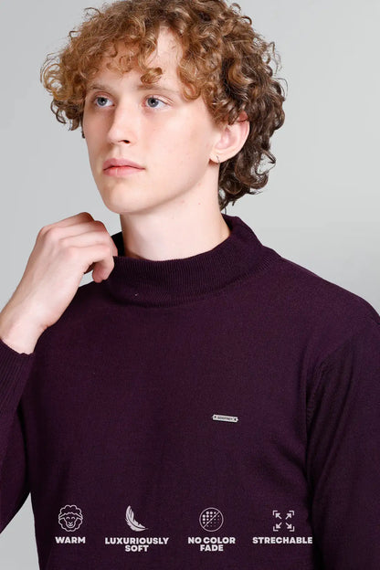 Grape Wine Solid Turtle Neck Men Sweater