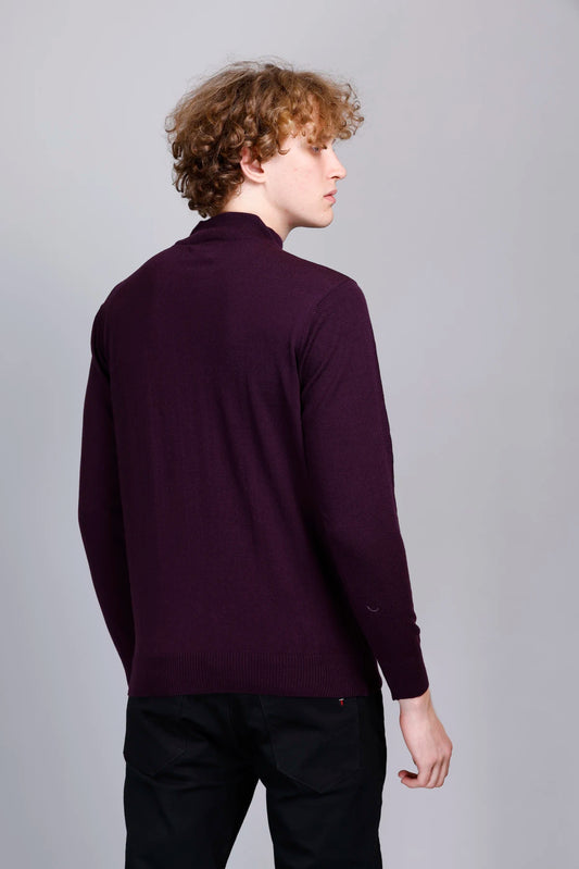 Grape Wine Solid Turtle Neck Men Sweater