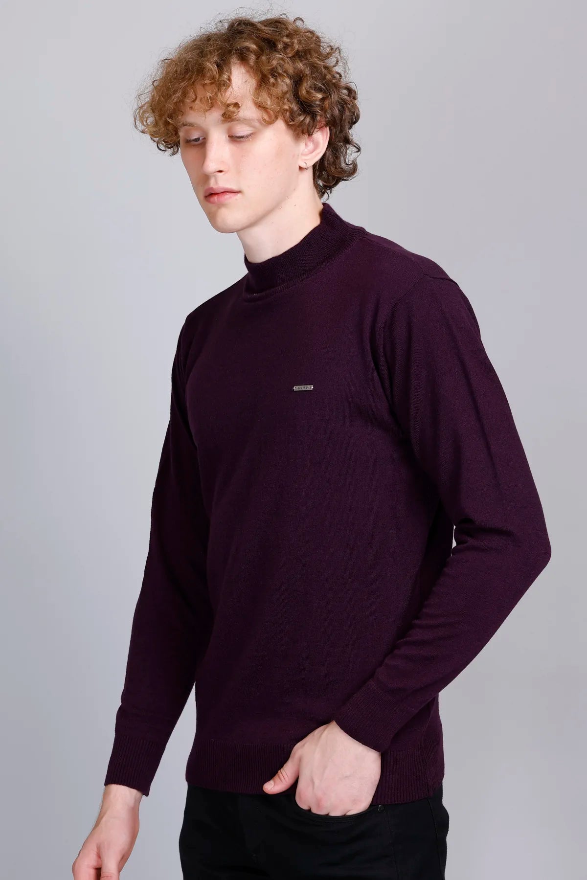 Grape Wine Solid Turtle Neck Men Sweater