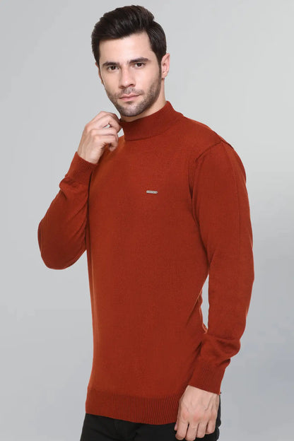 Rust Solid Turtle Neck Woollen Pullover
