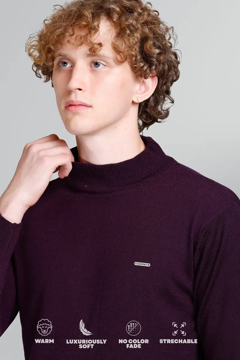 Grape Wine Solid Turtle Neck Men Sweater