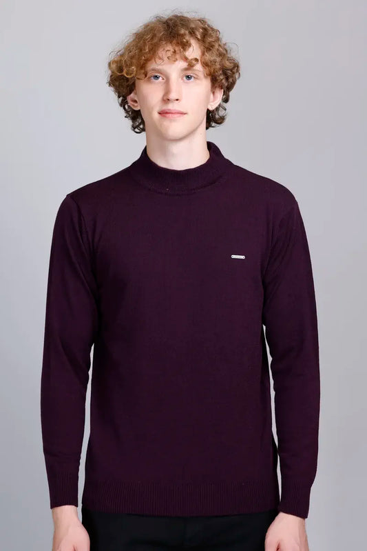 Grape Wine Solid Turtle Neck Men Sweater