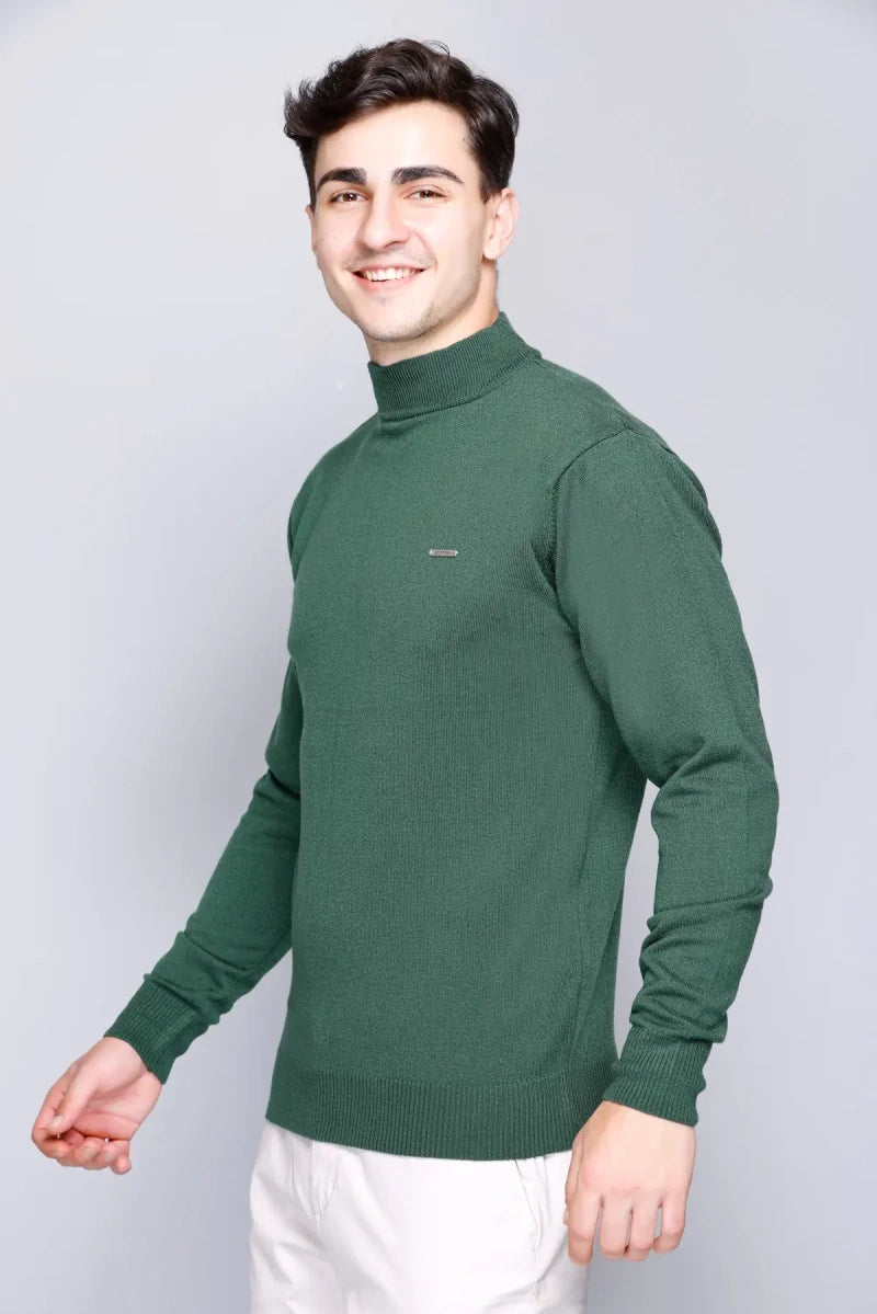 Peacock Solid Turtle Neck Woollen Pullover