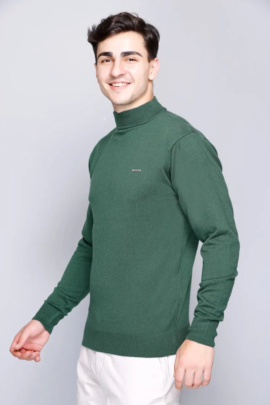 Peacock Solid Turtle Neck Woollen Pullover