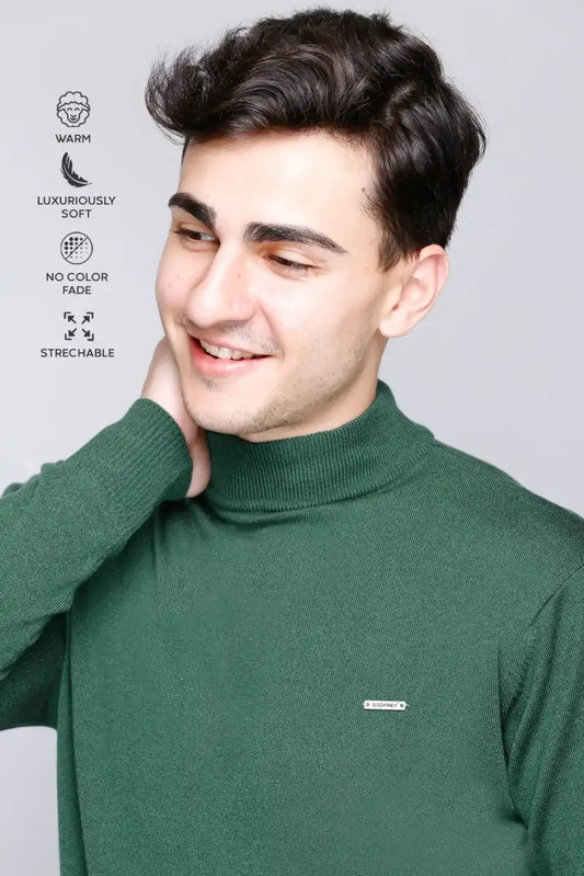 Peacock Solid Turtle Neck Woollen Pullover