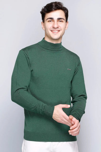 Peacock Solid Turtle Neck Woollen Pullover