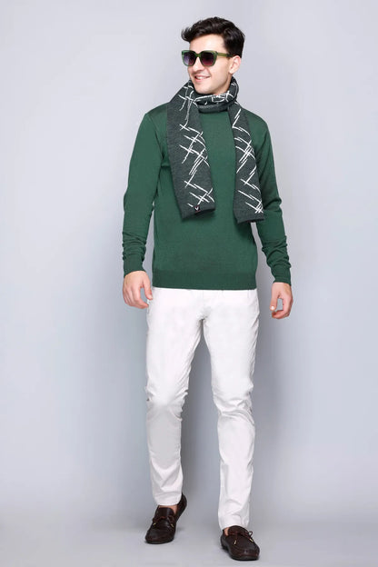 Peacock Solid Turtle Neck Woollen Pullover