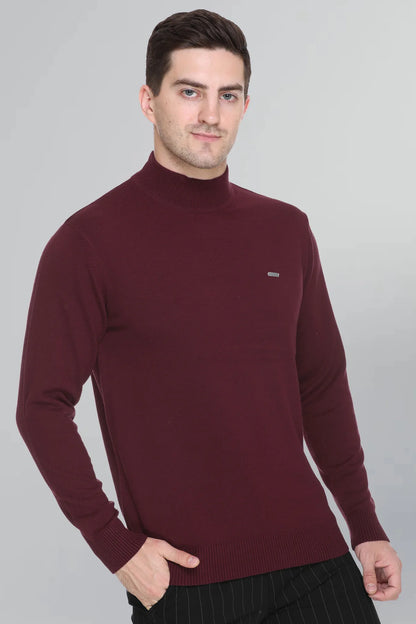 Burgundy Wine Plain Turtleneck Mens Sweater