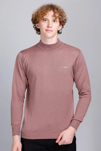 Solid Onion Turtleneck Men Sweater