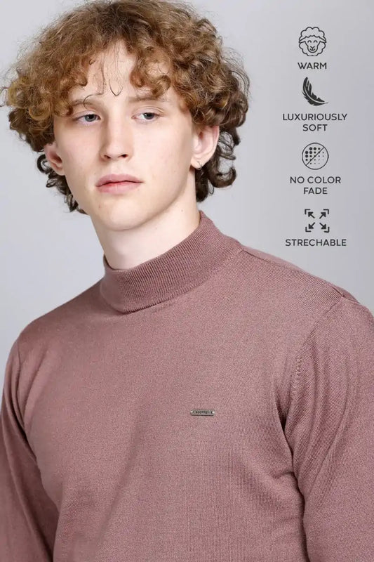 Solid Onion Turtleneck Men Sweater