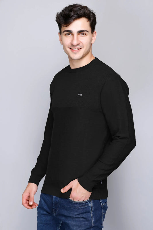 Black Solid Round Neck Pullover