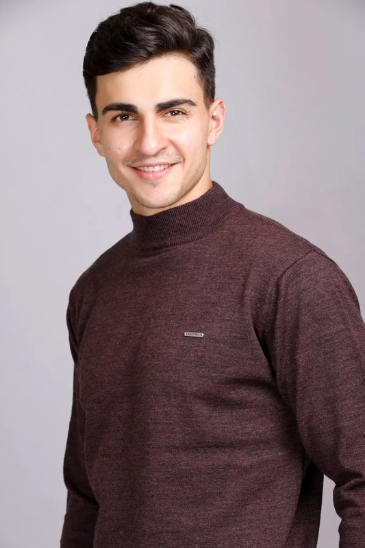 Solid Coffee Brown Turtleneck Mens Sweater