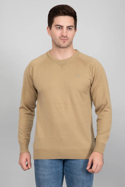 Beige Woolen Round Neck Solid Men Sweater