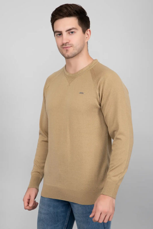 Beige Woolen Round Neck Solid Men Sweater