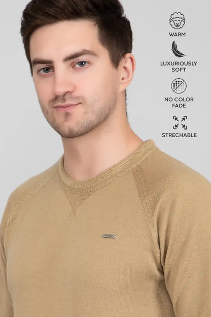 Beige Woolen Round Neck Solid Men Sweater
