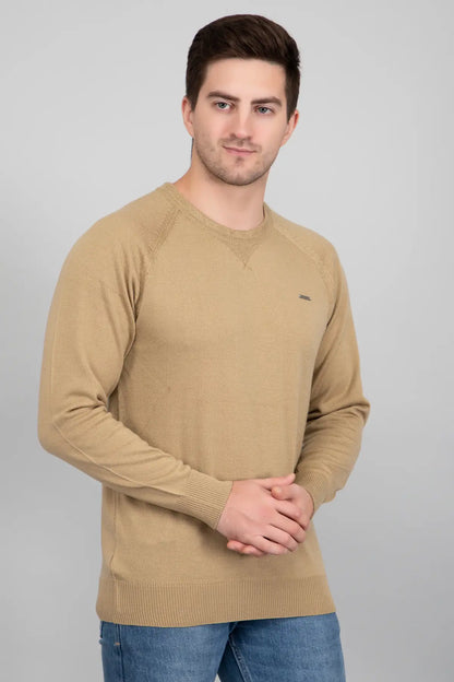 Beige Woolen Round Neck Solid Men Sweater