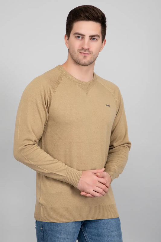 Beige Woolen Round Neck Solid Men Sweater