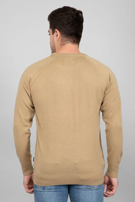 Beige Woolen Round Neck Solid Men Sweater