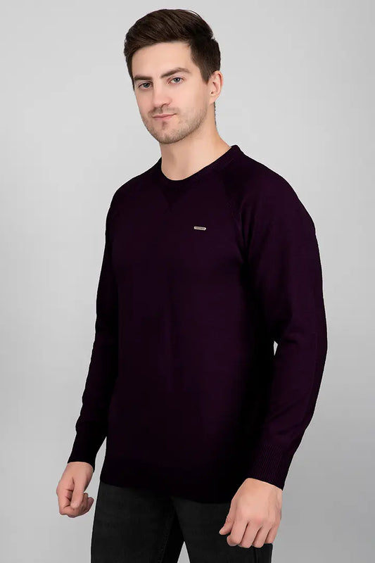 Grape Woolen Round Neck Solid Men Sweater