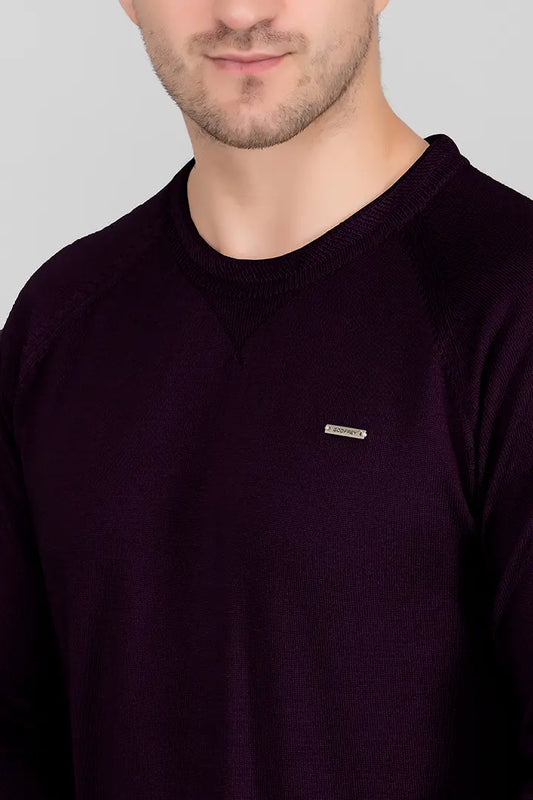 Grape Woolen Round Neck Solid Men Sweater