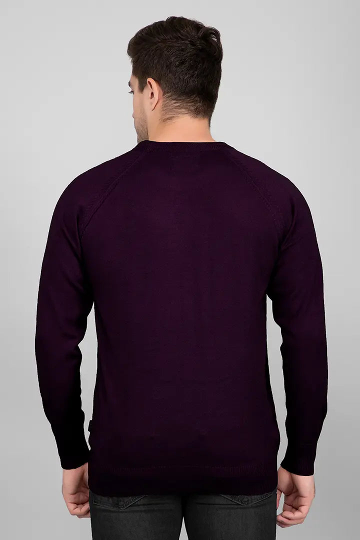Grape Woolen Round Neck Solid Men Sweater