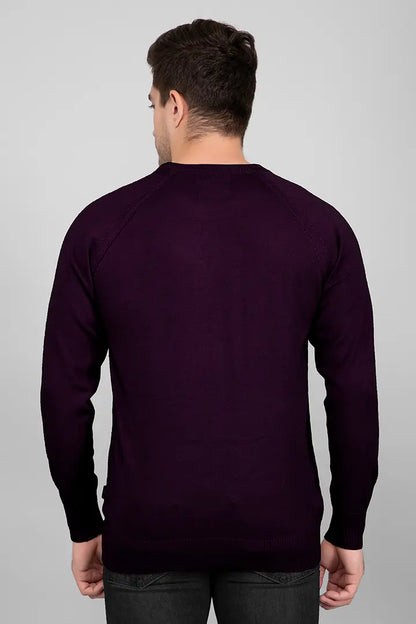 Grape Woolen Round Neck Solid Men Sweater