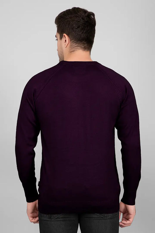 Grape Woolen Round Neck Solid Men Sweater