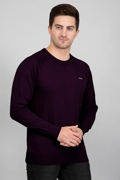 Grape Woolen Round Neck Solid Men Sweater