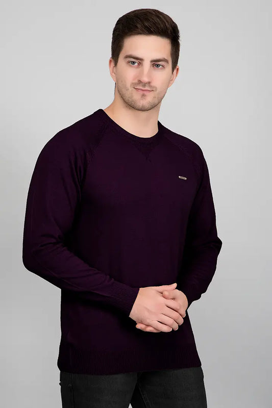 Grape Woolen Round Neck Solid Men Sweater