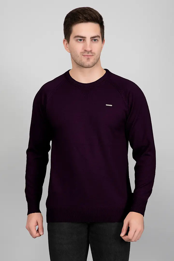 Grape Woolen Round Neck Solid Men Sweater