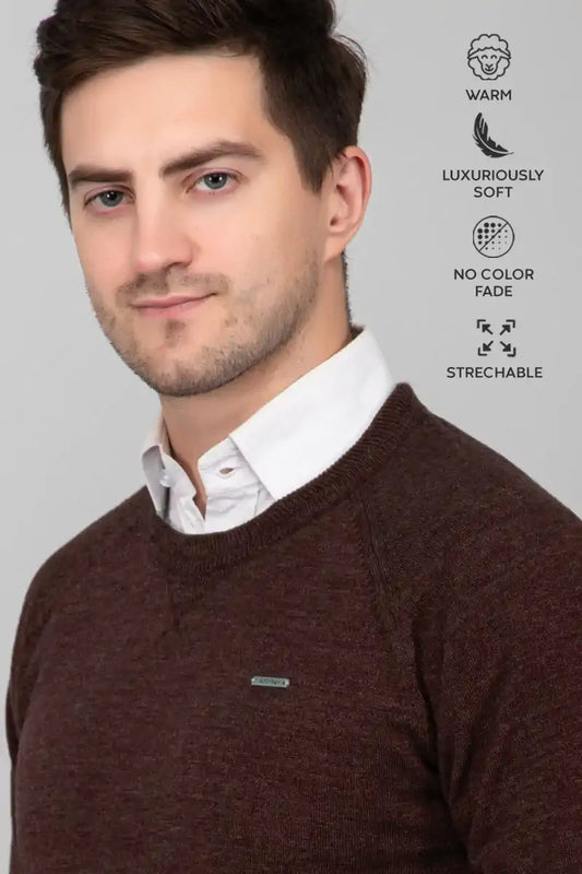 Coffee Brown Woolen Round Neck Solid Men Sweater