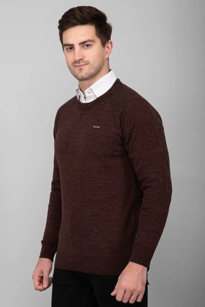 Coffee Brown Woolen Round Neck Solid Men Sweater