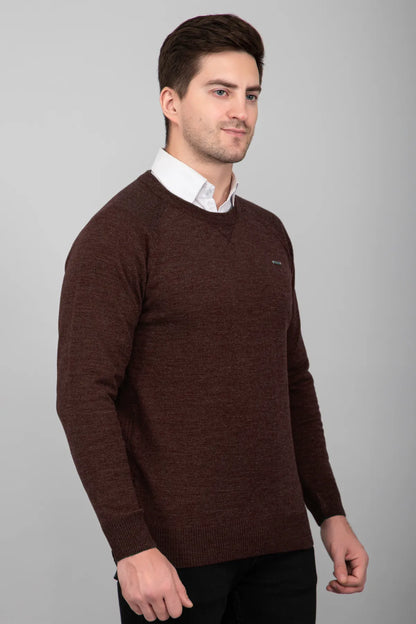 Coffee Brown Woolen Round Neck Solid Men Sweater