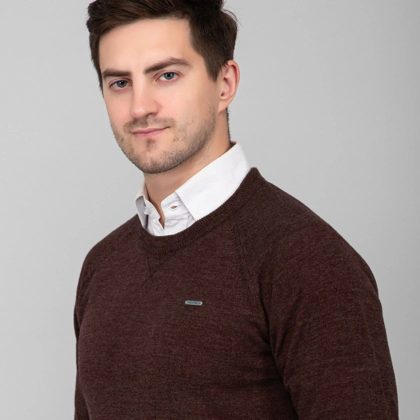 Coffee Brown Woolen Round Neck Solid Men Sweater