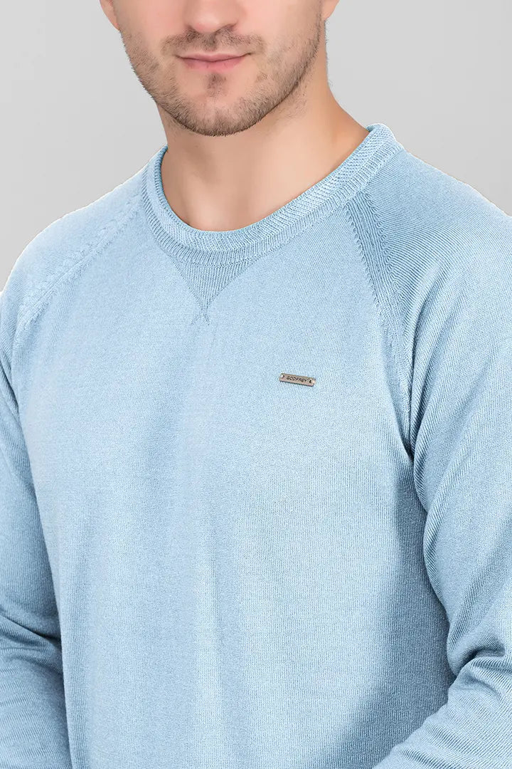 Sky Woolen Round Neck Solid Men Sweater