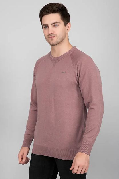 Grape Woolen Round Neck Solid Men Sweater
