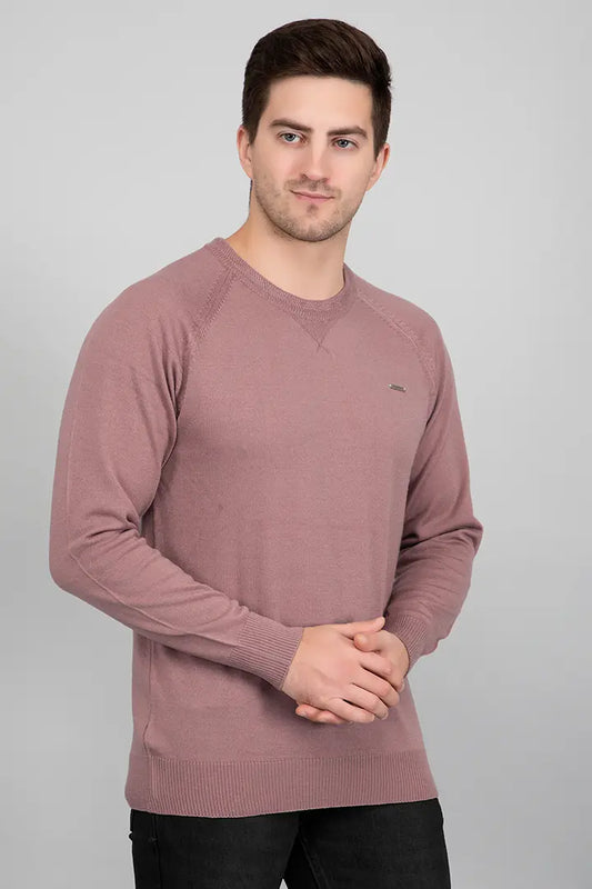 Onion Woolen Round Neck Solid Men Sweater