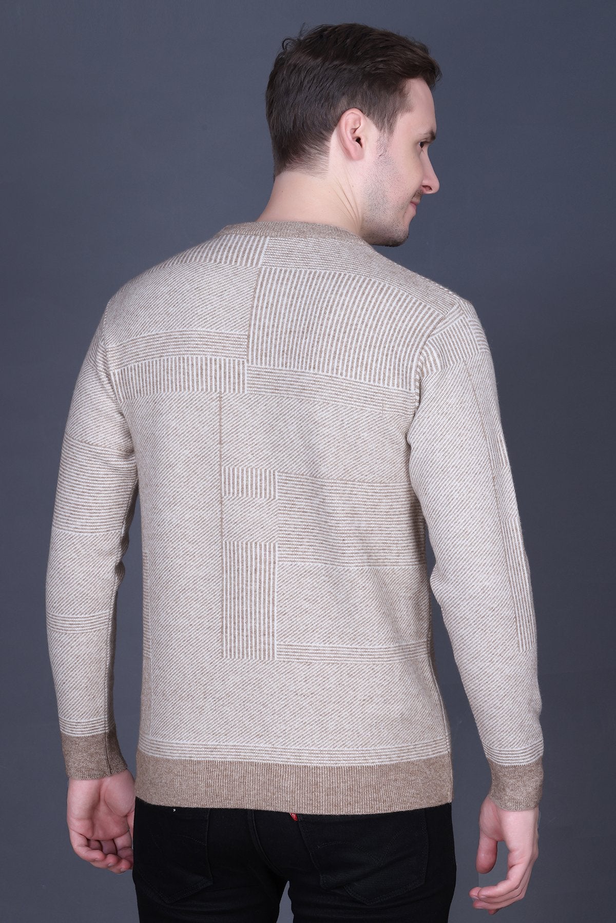 Mouse Brown Woolen Round Neck Designer Men Sweater