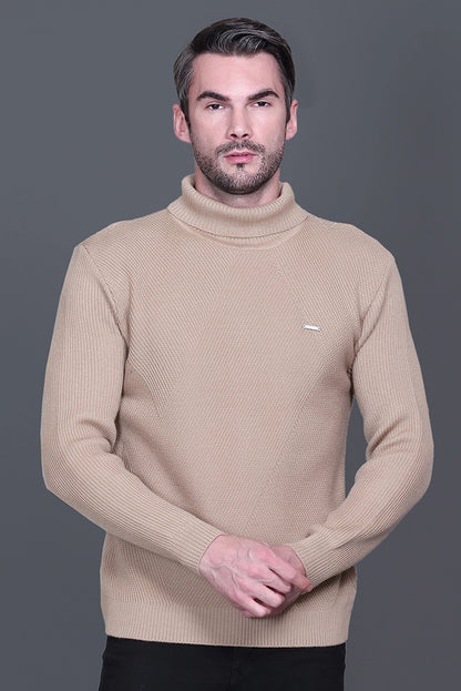 Beige Solid Turtle Neck Woollen Pullover