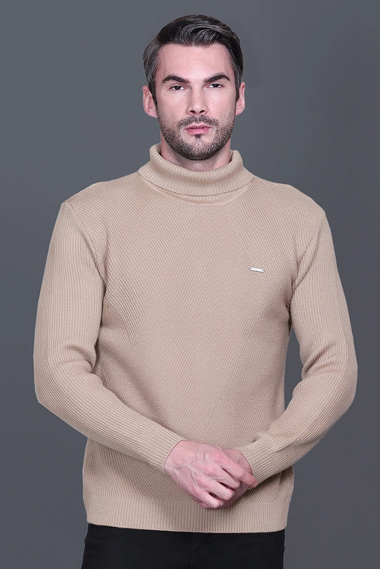 Beige Solid Turtle Neck Woollen Pullover
