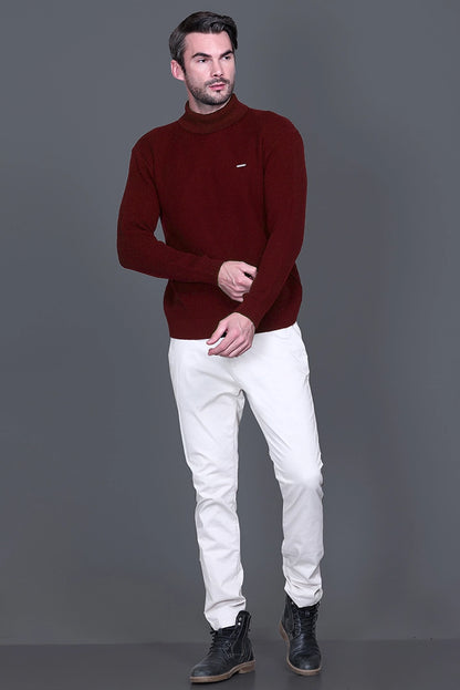Wine Solid Turtle Neck Woollen Pullover