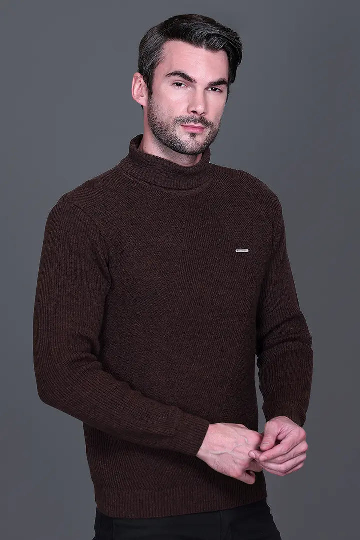 Coffee Solid Turtle Neck Woollen Pullover